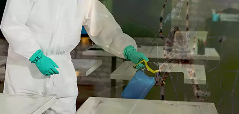 Why Buyers Still Want Homes With Pest Infestations in Paradise, NV?