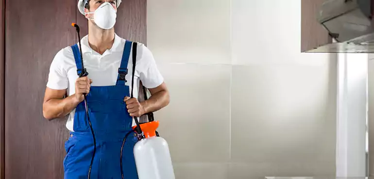 Why Paradise Homeowners Choose Us When Pests Make Selling Difficult